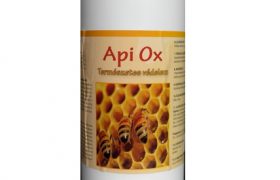Api Ox