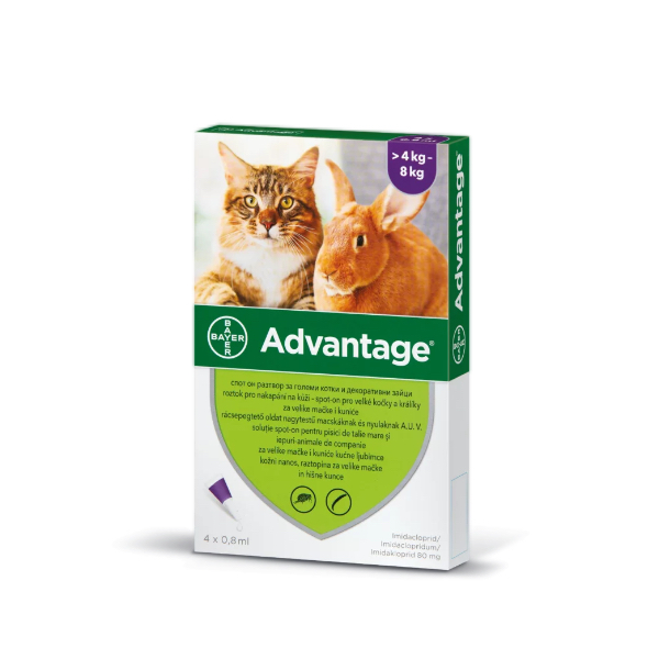 Advantage rácsepegtető oldat nagytestű macskáknak és nyulaknak A.U.V. 1 x 0,8 ml