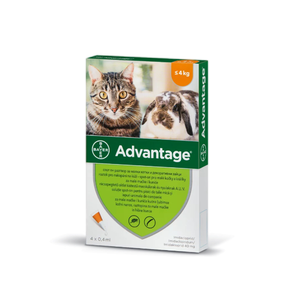 Advantage rácsepegtető oldat kistestű macskáknak és nyulaknak A.U.V. 1 x 0,4 ml